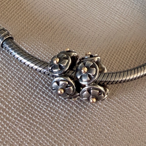 Extremely rare Pandora German Oxidized Two Tone spacers - Picture 2 of 3